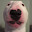 Sgt Porkchops's user avatar