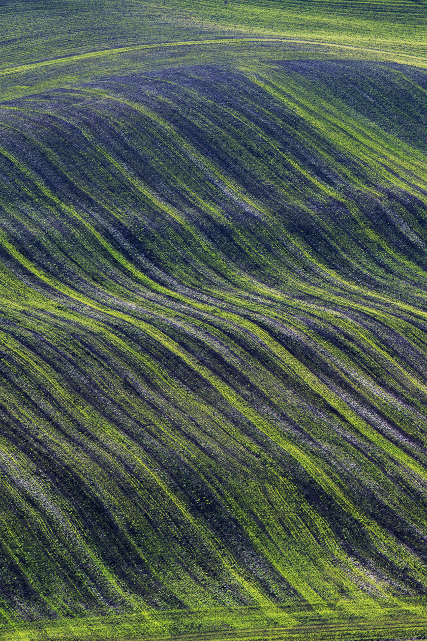 Terre Daune di michele vitulano