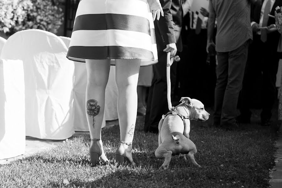 Fotógrafo de bodas Merlin Guell (merlinguell). Foto del 29 de junio 2019