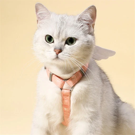 Sweet Angel Wing Cat Harness 120cm Leash Outdoor Cat Dog Harness and Leash Set Water Proof Vest Chest Strap Kitten Acces