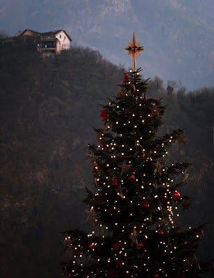 Un albero svettante di atlantex