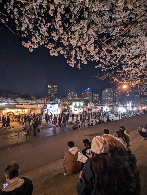 スープラのサクラと愛車・桜・春・桜コラボに関するカスタム事例の投稿画像5枚目
