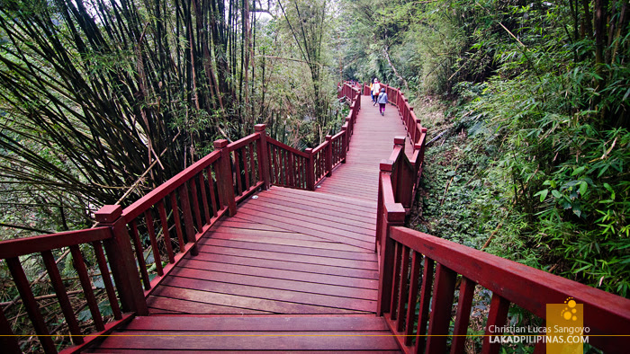 Shifen Waterfall Red Pathway