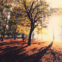 La calda luce d'Autunno di 