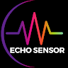 執筆者の写真: echo sensor2112