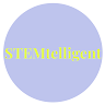 Writer: stemtelligent