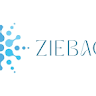 Writer: ziebaq Technology