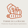 Photo du rédacteur: Frédéric DUMONT