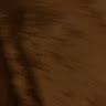 俊宸