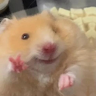 n Da