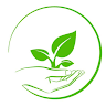 Wholistic Natural Health
