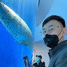 李清輝