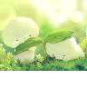 kimtuyen chử thị kim tuyền