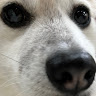 李孟育
