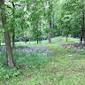 Writer: Snake Den Mounds
