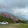 蔡孟宏