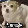 蕭善憶