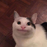 康俊豪