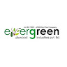 evergreen ply
