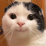 linhlinh22
