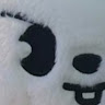 蔡品婕