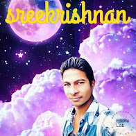 Sreekrishnan Sreekrishnan