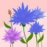 Created by