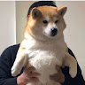 Shiou Mr