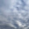 林映德