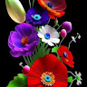 Created by