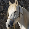 Photo du rédacteur: Flo Pradier