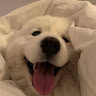 吳迪