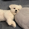 林郁潔