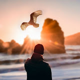 عايض العايض