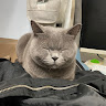 蘇真玉