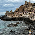 ผู้ใช้: Thanh Tâm Đỗ