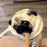 無明 0