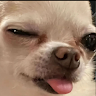 翁林庭