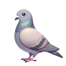 Q_Q