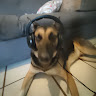TacoPlay01
