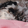 María José Patiño González