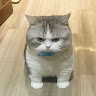 正常