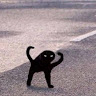 kermit