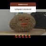 施育澄