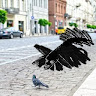 Foto del escritor: Katastrofe Q