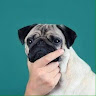 lostfeelz's Avatar