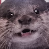 userThumbnail