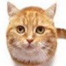 User ID : 441027