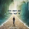 תמונת פרופיל