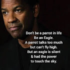 Kullanıcı: Anees Mohammad